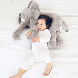 Elephant Plush Toy (By Bedtime Originals)